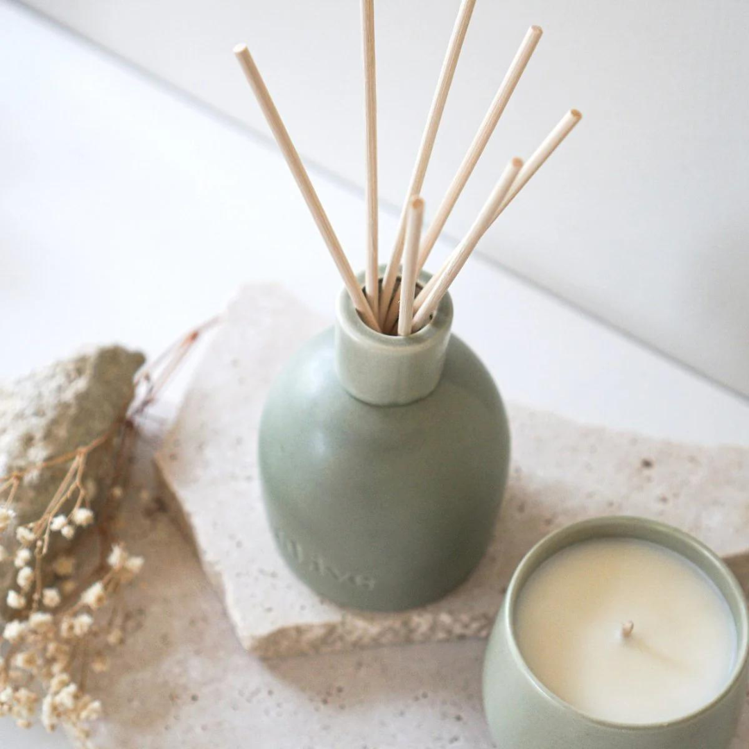 Blackcurrant & Caribbean Wood Diffuser - Ginja B