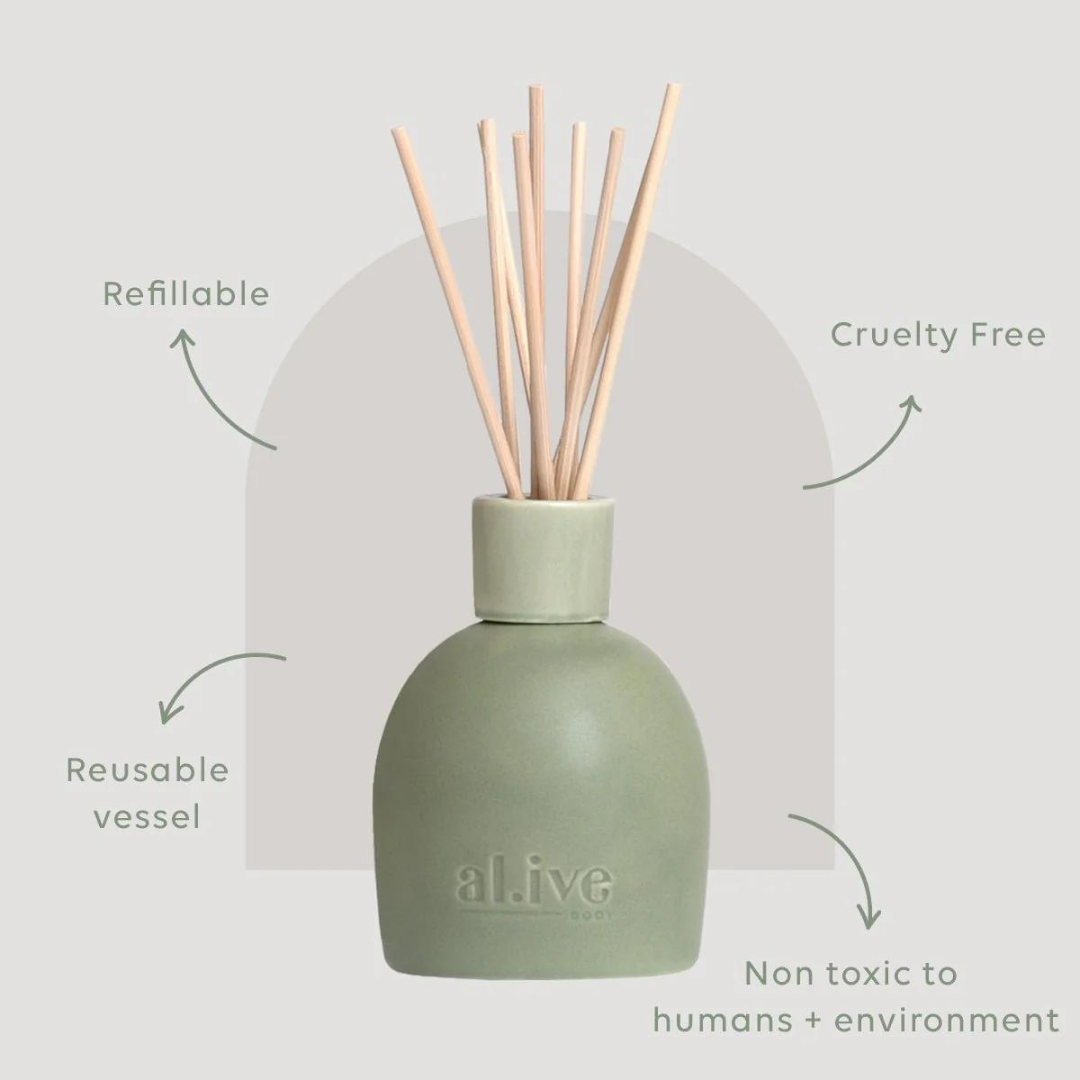 Blackcurrant & Caribbean Wood Diffuser - Ginja B