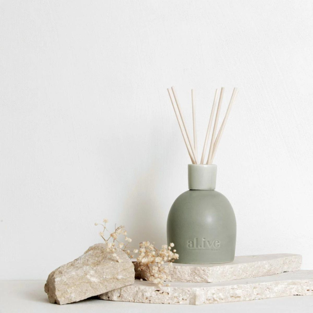 Blackcurrant & Caribbean Wood Diffuser - Ginja B