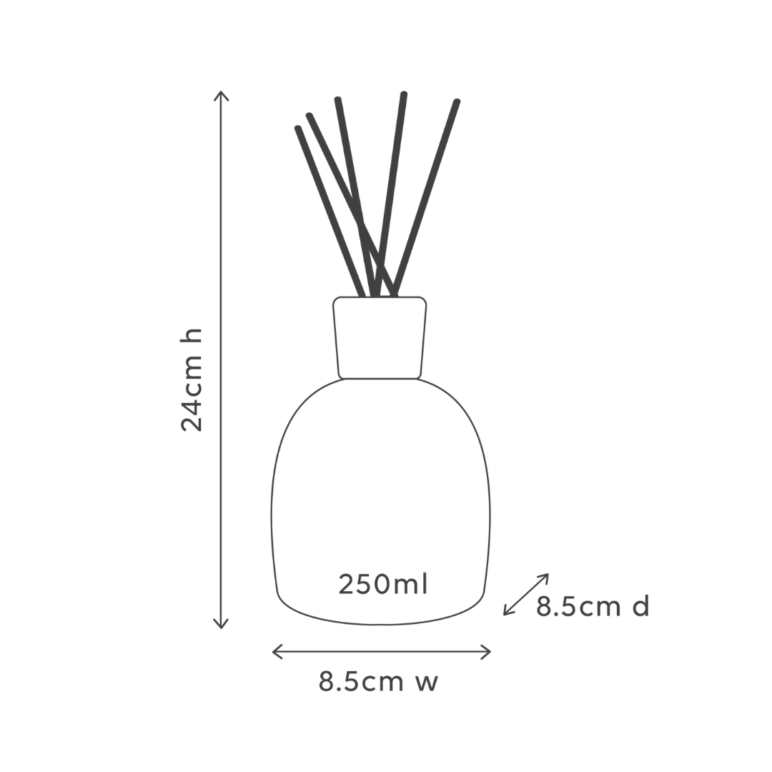 Blackcurrant & Caribbean Wood Diffuser - Ginja B