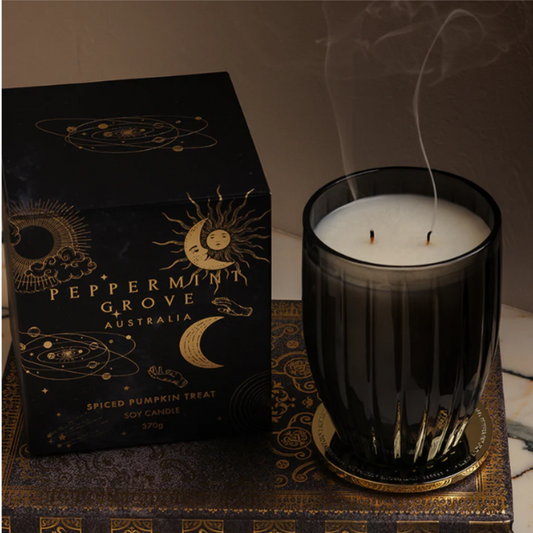 Spiced Pumpkin Treat Soy Candle 370gm