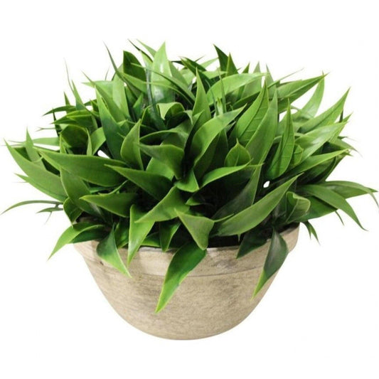 Faux Spiky Succulent 25x20cm - Ginja B