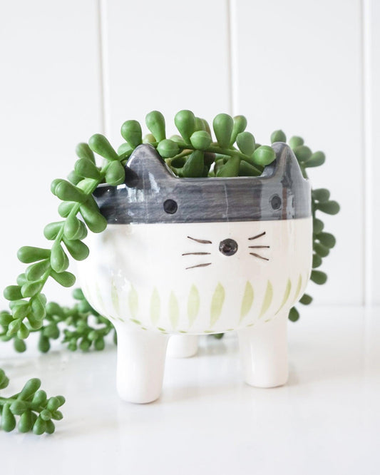 Planter Cally Cat Small 10x10x10cm - Ginja B