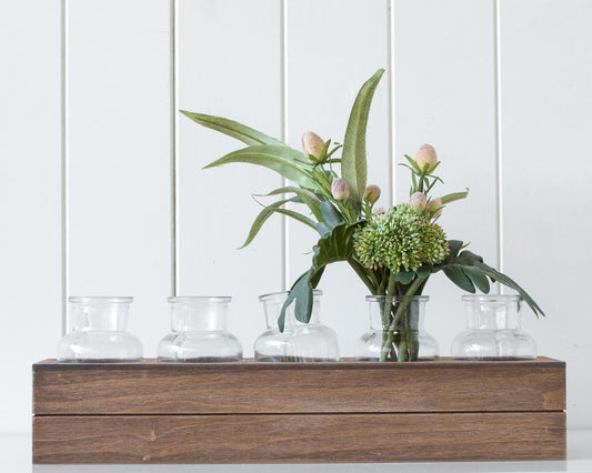 Botanical Beakers - Wesley Large - 41x13x9 - Ginja B