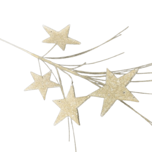 Christmas Ivory Star Spray 70cm - Ginja B