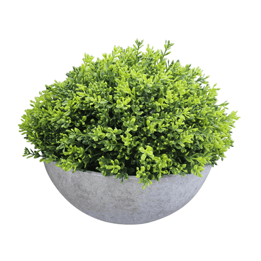 Faux Moss Bowl Green - Ginja B