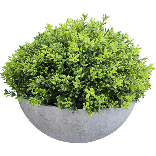 Faux Moss Bowl Green - Ginja B