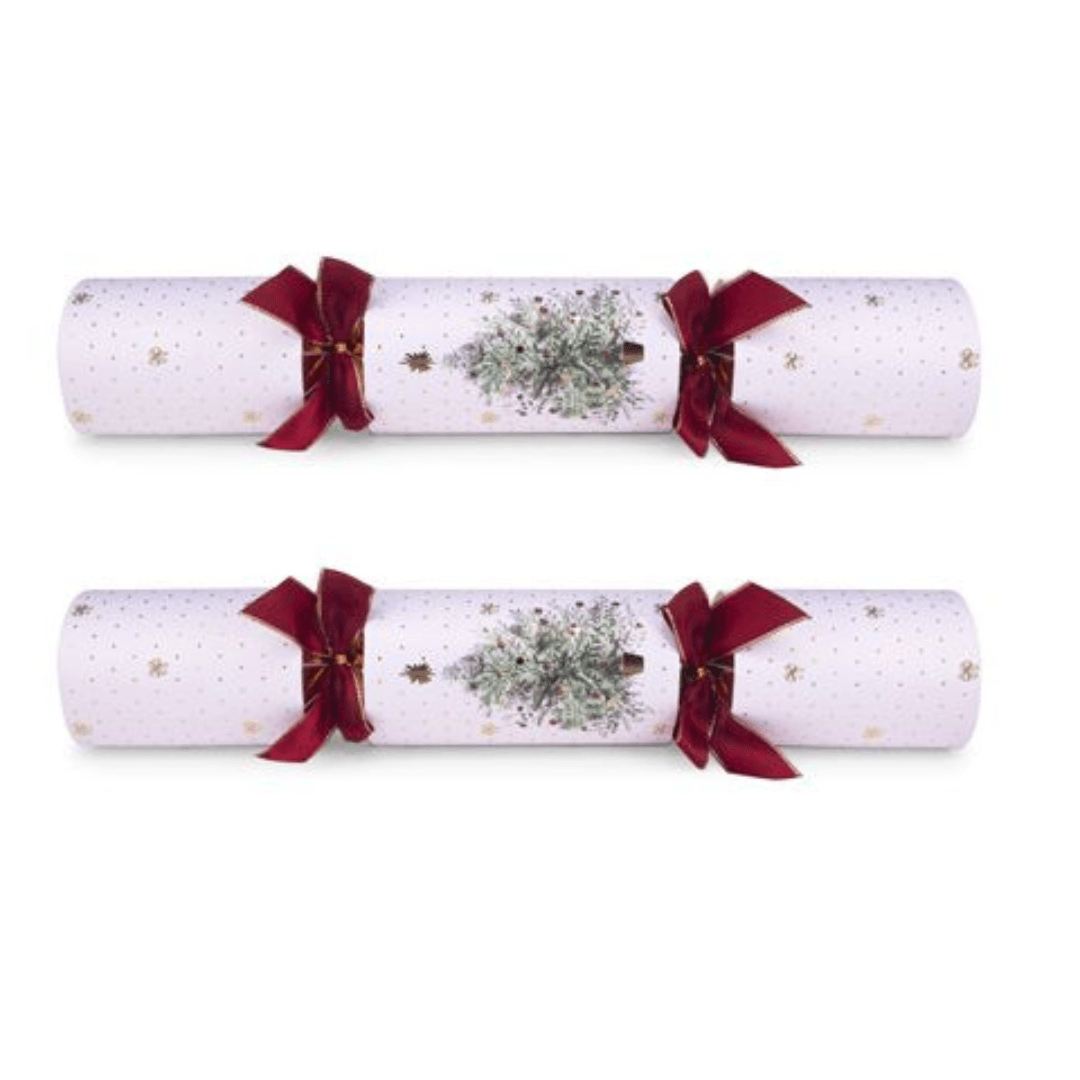 Delux Watercolour Christmas Crackers 14inch (8) Pieces - Ginja B