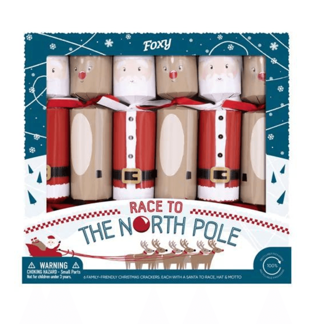 Race to the North Pole 12in Christmas Cracker Tray of 6 - Ginja B