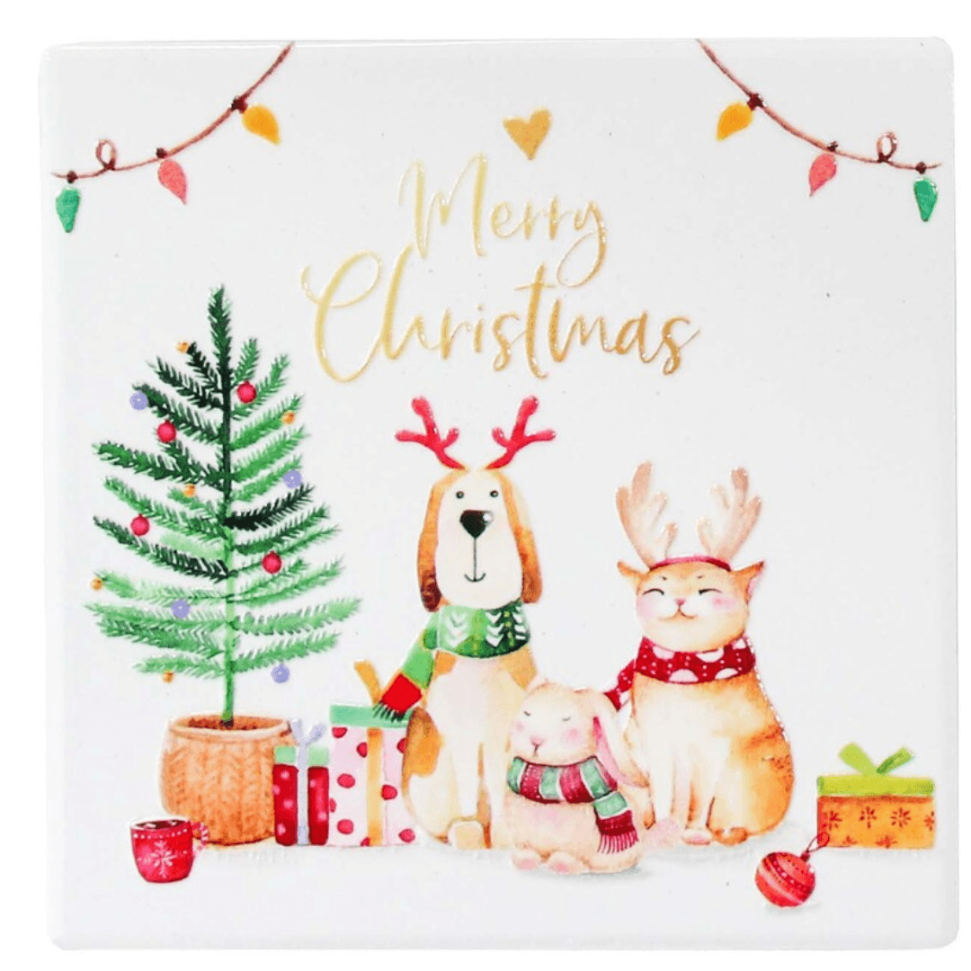 Christmas Themed Coasters 10x10cm - Ginja B