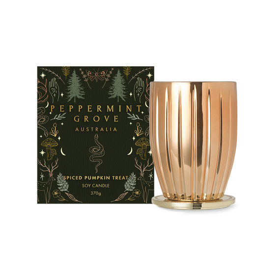 Spiced Pumpkin Treat Soy Candle 370gm - Ginja B