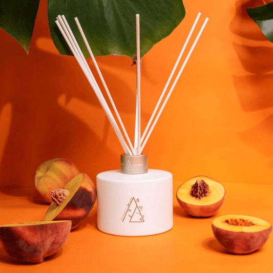 Lychee + Peach Reed Diffuser - Ginja B