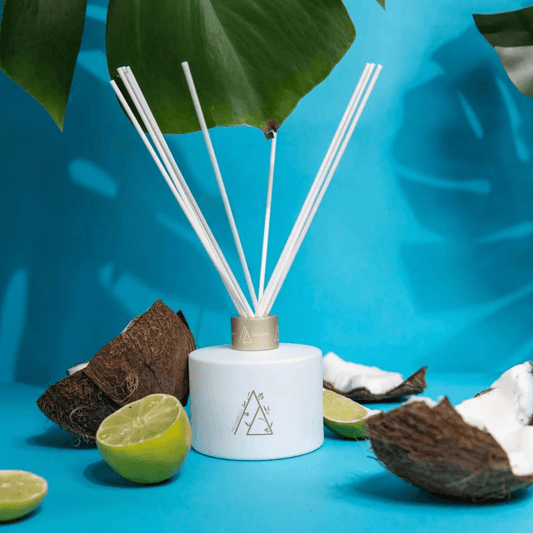 Coconut + Lime Reed Diffuser - Ginja B
