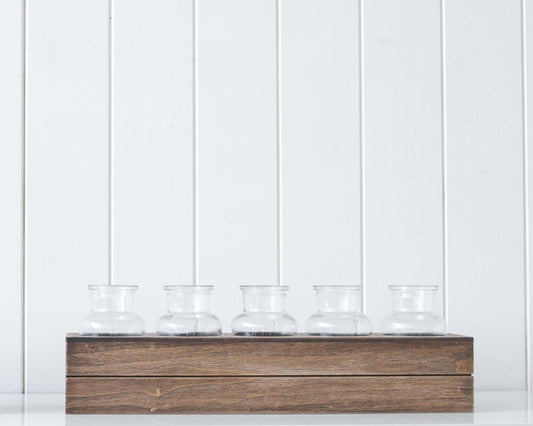 Botanical Beakers - Wesley Large - 41x13x9 - Ginja B