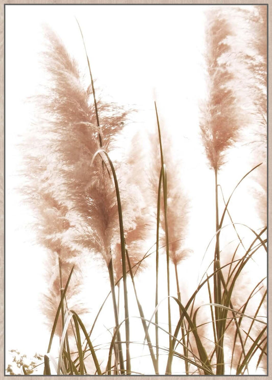 Wheat Grass Sepia - 62x92 Ginja B