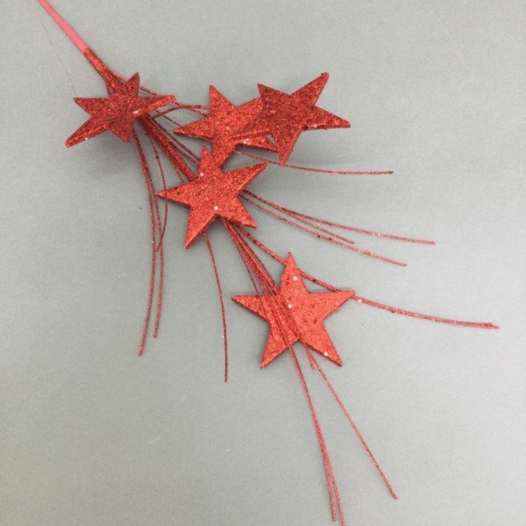 Christmas Red Star Spray 70cm - Ginja B