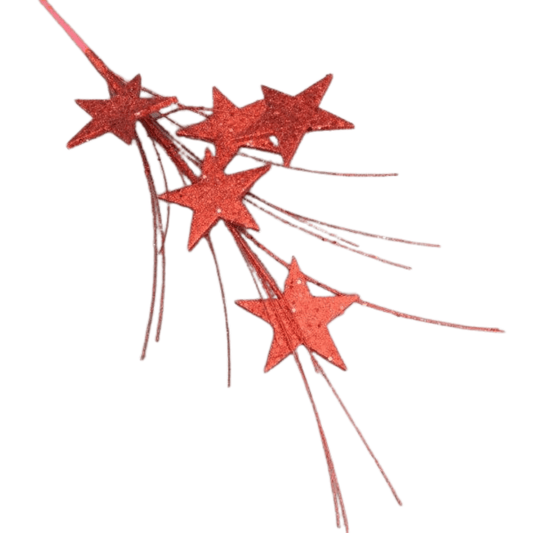Christmas Red Star Spray 70cm - Ginja B