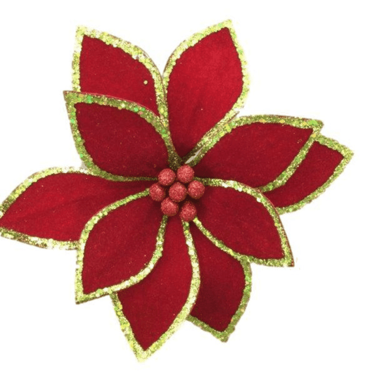 Red Flower With Green Trim - Ginja B