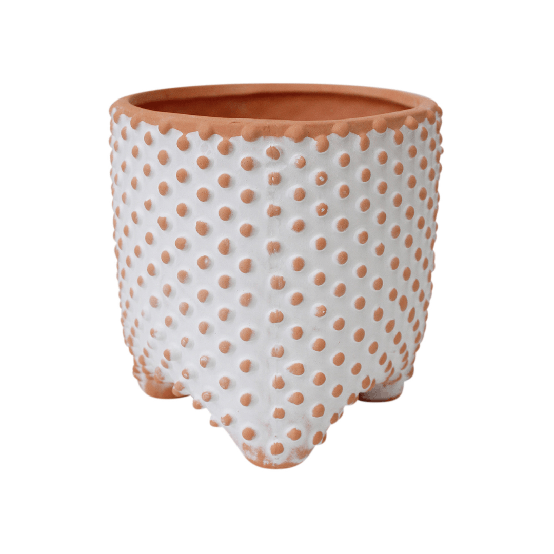 Planter with Teracotta Dots - Ginja B