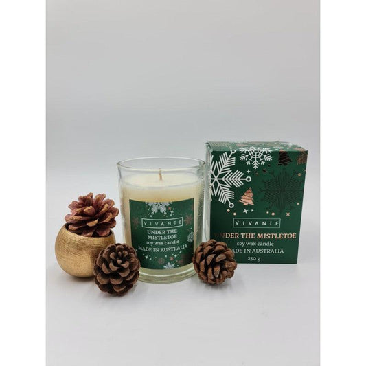 Under The Mistletoe - Vivante Christmas Soy Blend Candle 230g - Ginja B
