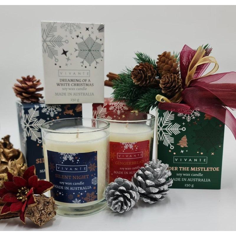 Under The Mistletoe - Vivante Christmas Soy Blend Candle 230g - Ginja B